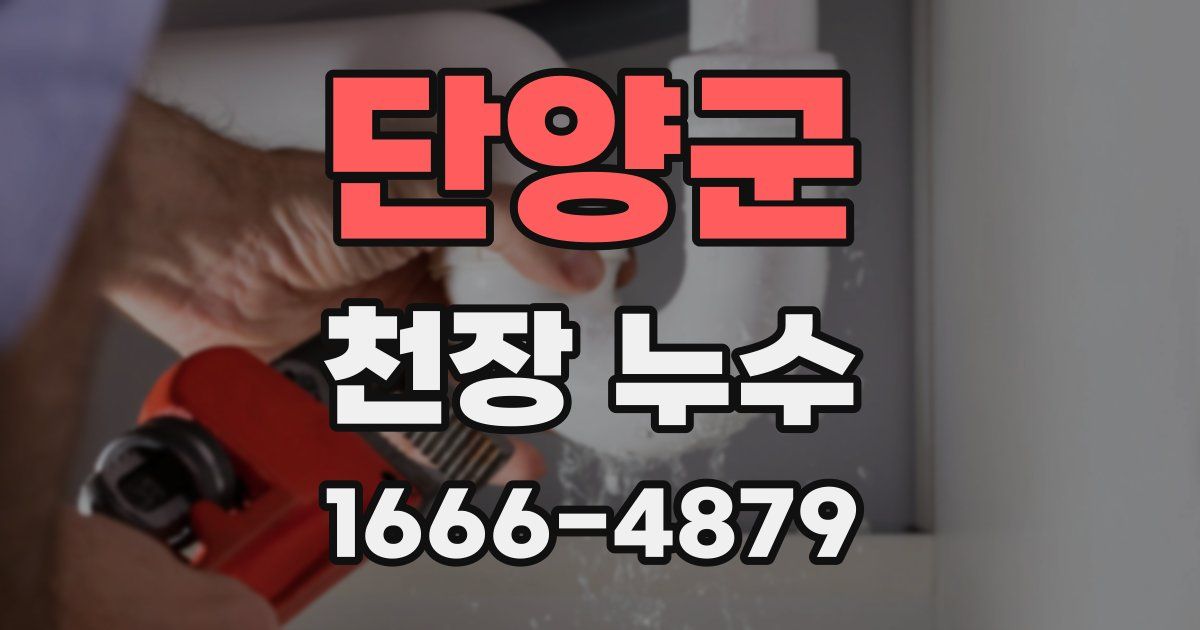 단양군 천장 누수