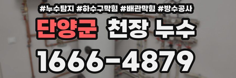 단양군 천장 누수