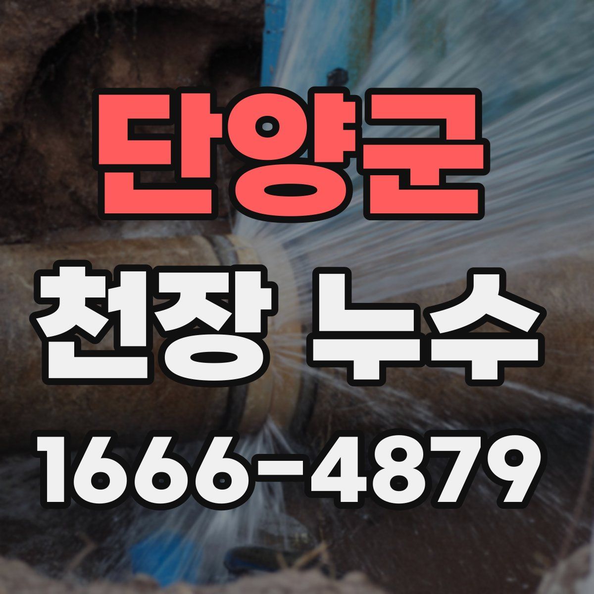 단양군 천장 누수
