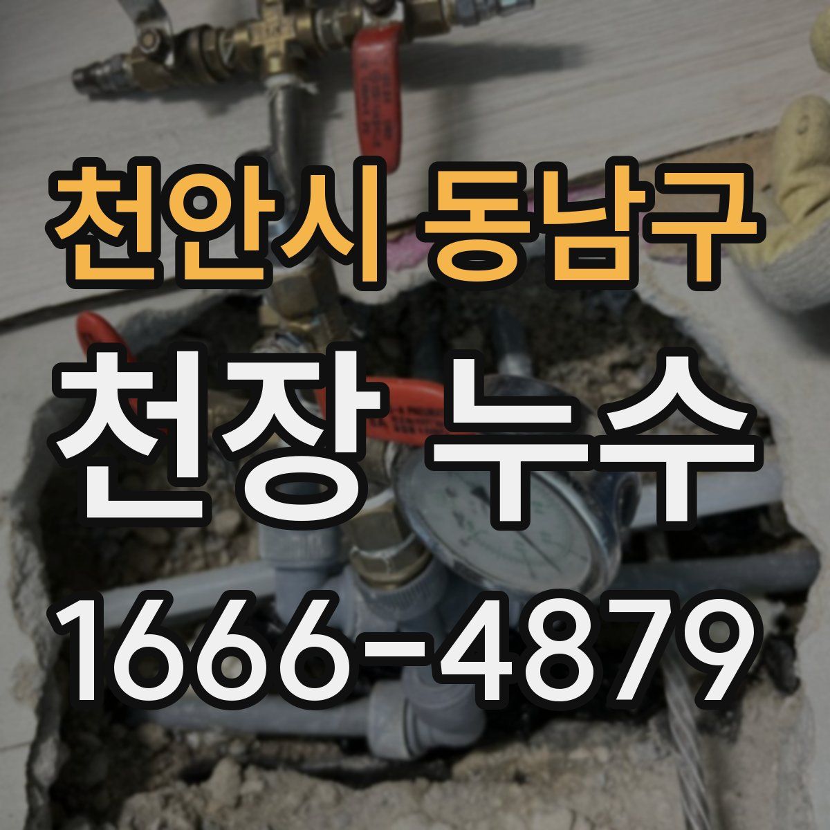 천안시 동남구 천장 누수