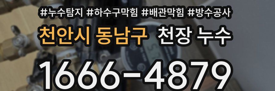 천안시 동남구 천장 누수