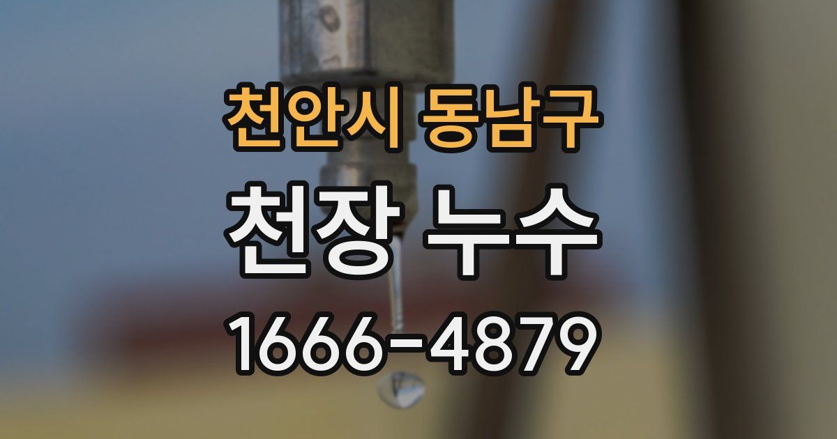 천안시 동남구 천장 누수