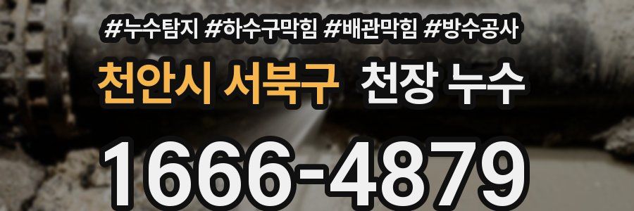 천안시 서북구 천장 누수