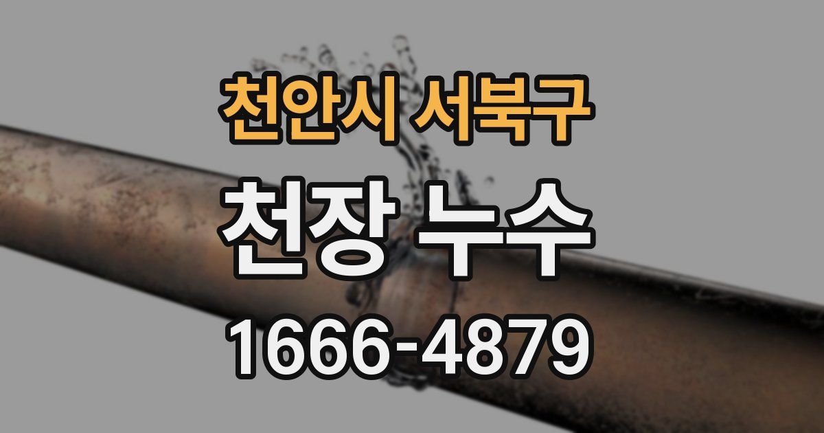 천안시 서북구 천장 누수