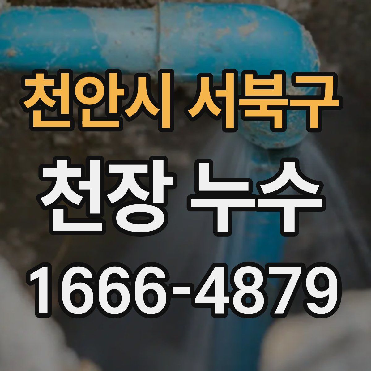 천안시 서북구 천장 누수