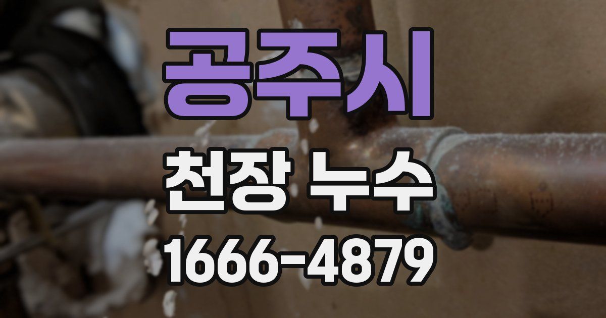 공주시 천장 누수