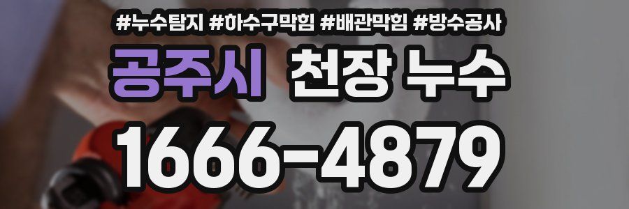 공주시 천장 누수