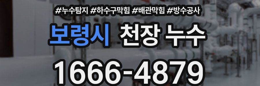 보령시 천장 누수