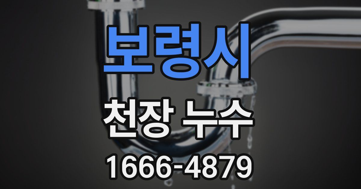 보령시 천장 누수
