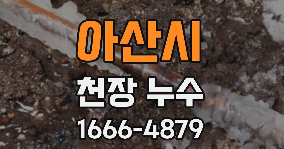 아산시 천장 누수