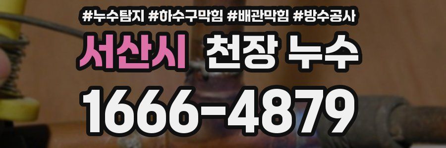 서산시 천장 누수
