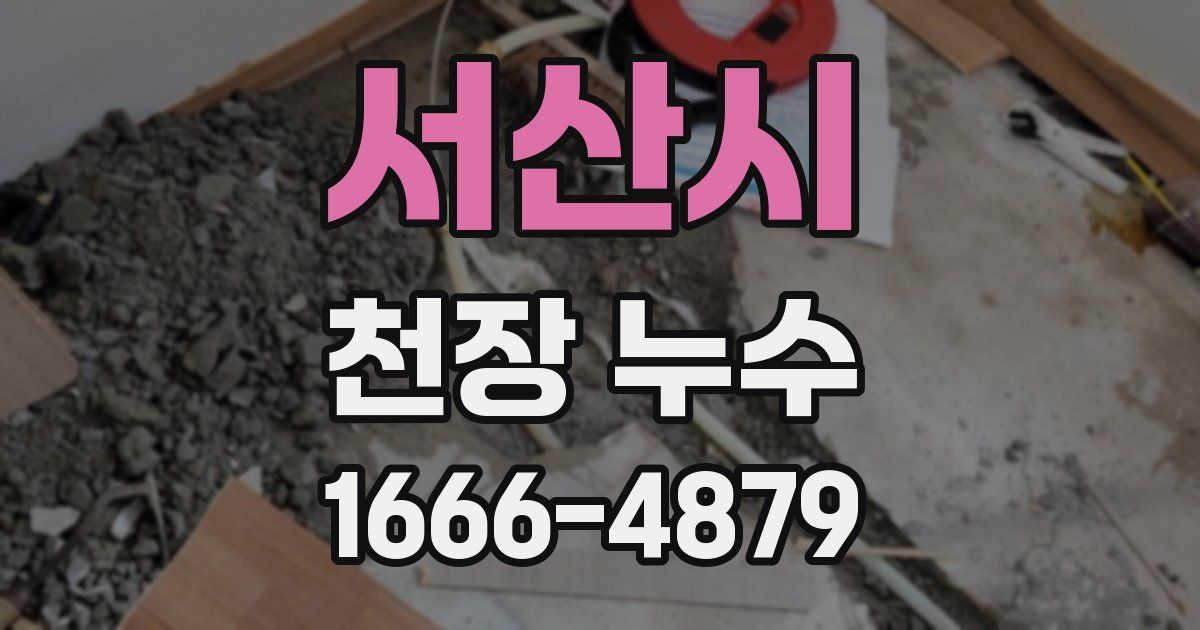 서산시 천장 누수