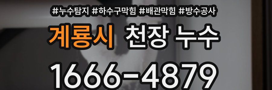 계룡시 천장 누수