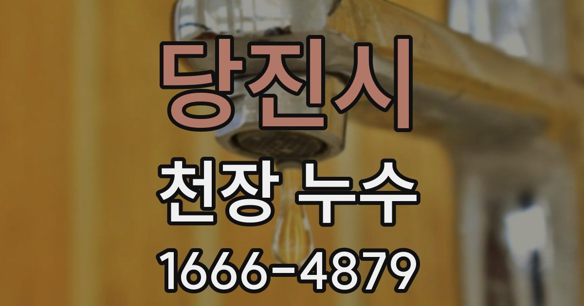 당진시 천장 누수