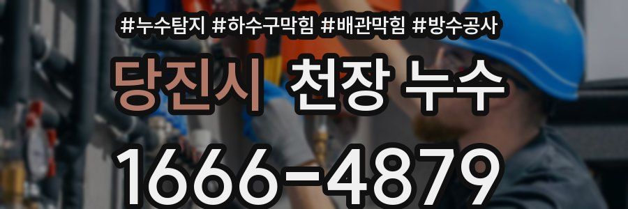 당진시 천장 누수