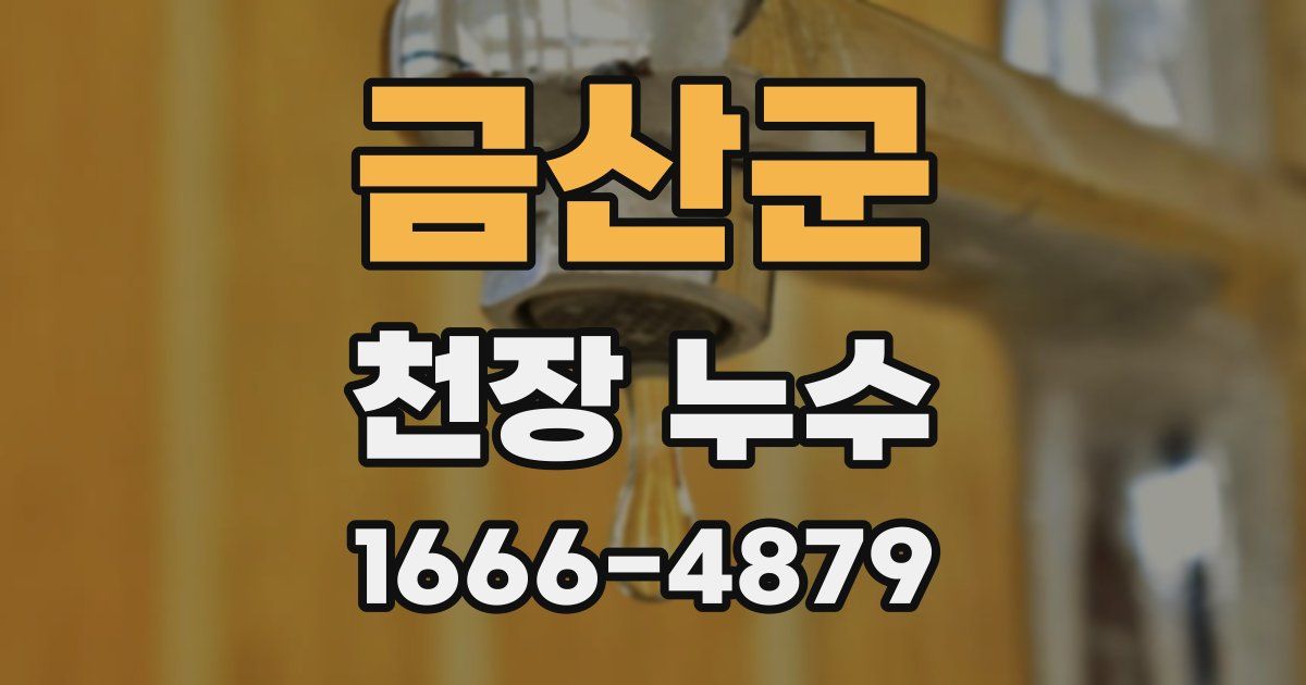 금산군 천장 누수