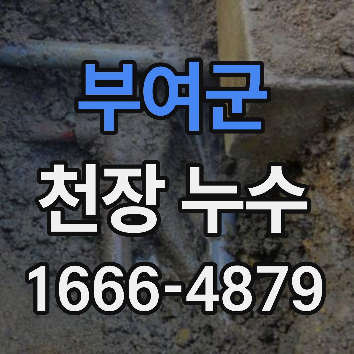 부여군 천장 누수