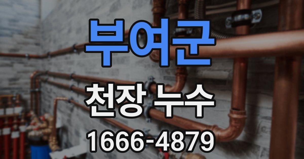 부여군 천장 누수