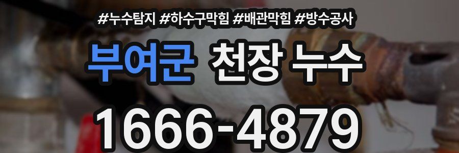 부여군 천장 누수