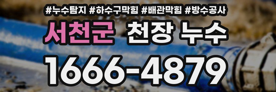서천군 천장 누수