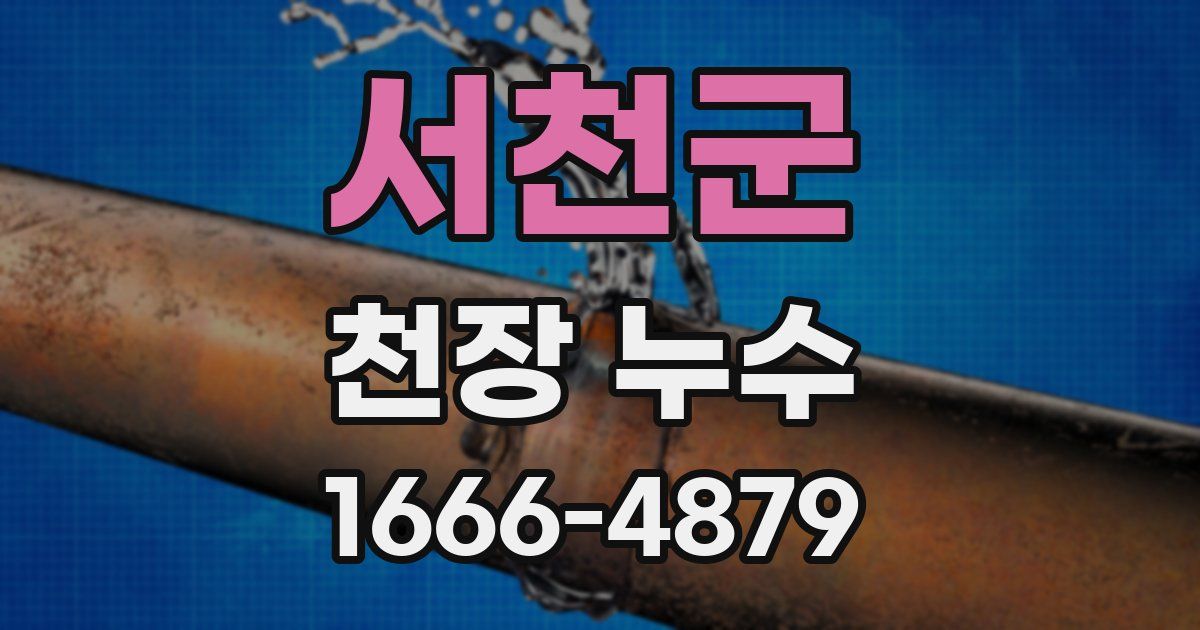 서천군 천장 누수