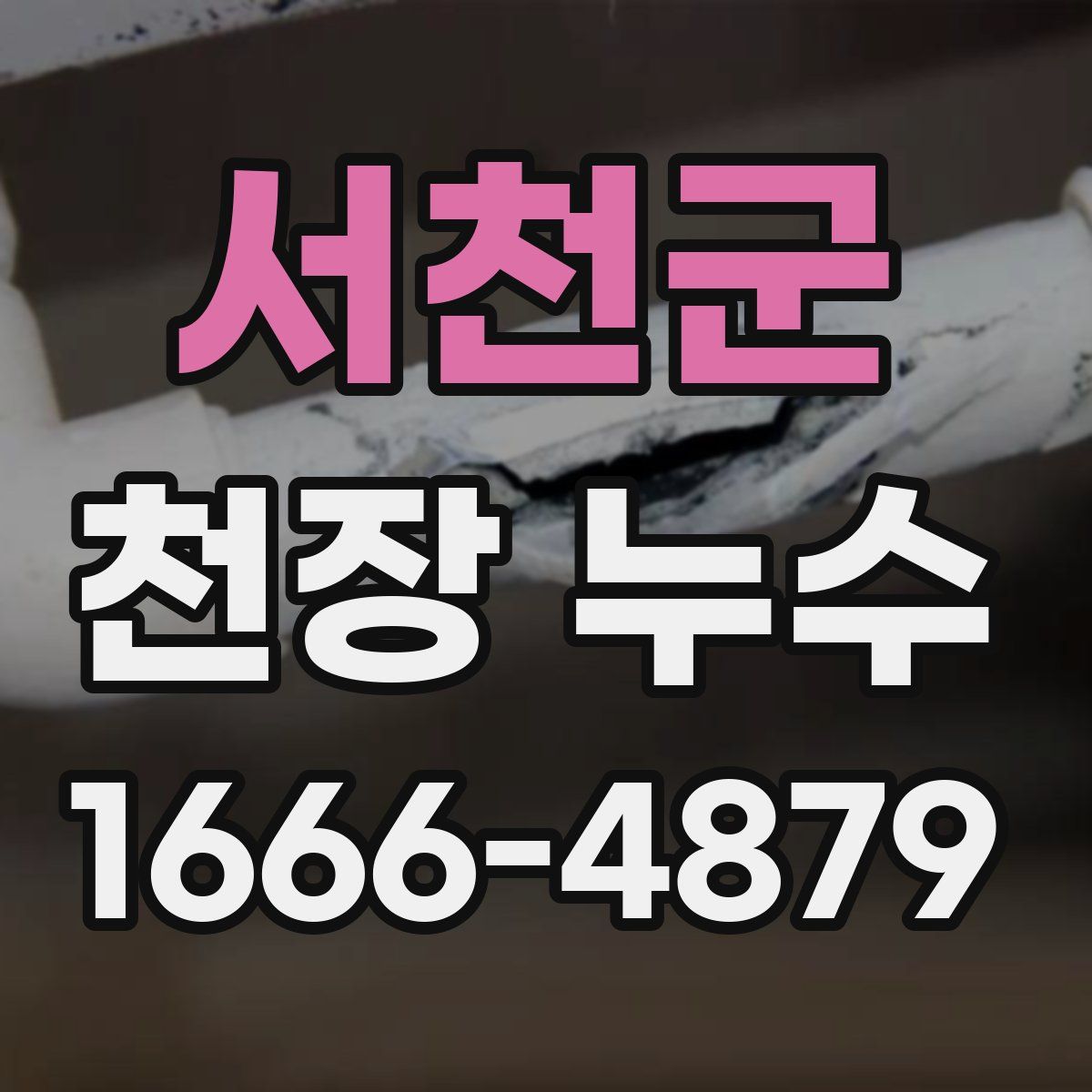 서천군 천장 누수