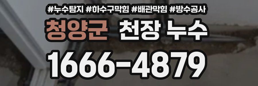 청양군 천장 누수