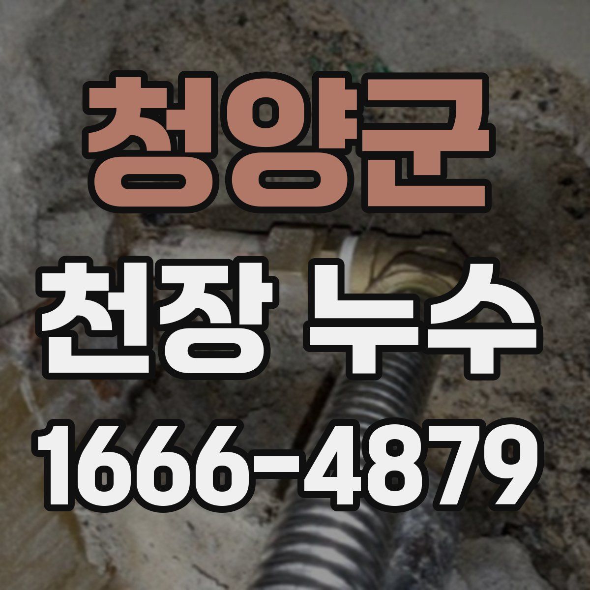 청양군 천장 누수