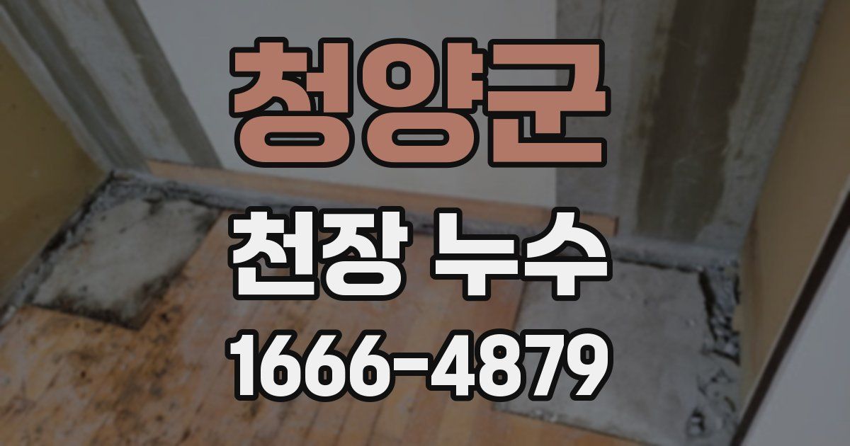 청양군 천장 누수