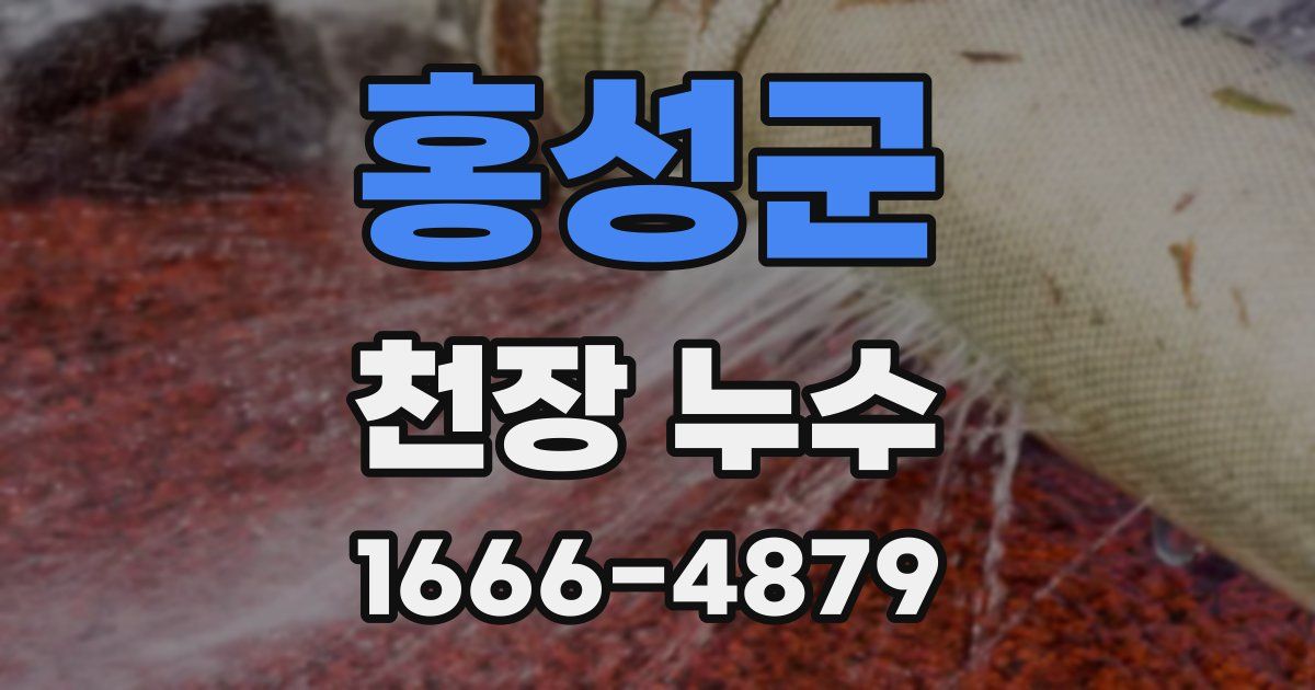 홍성군 천장 누수
