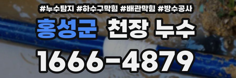 홍성군 천장 누수
