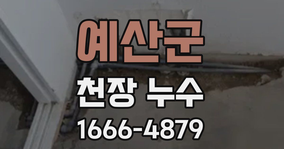 예산군 천장 누수