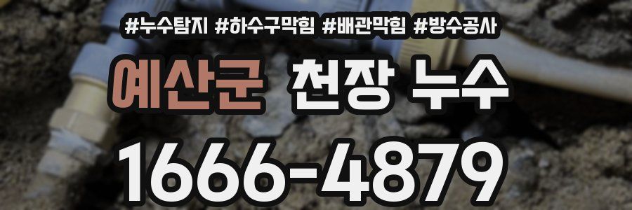 예산군 천장 누수