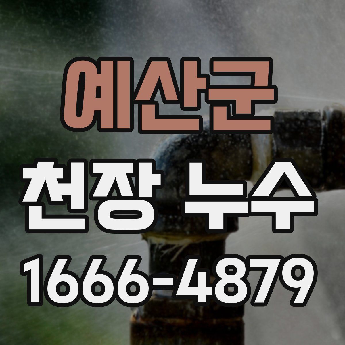 예산군 천장 누수