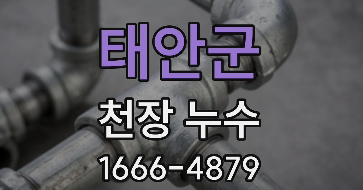 태안군 천장 누수