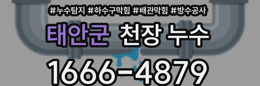 태안군 천장 누수