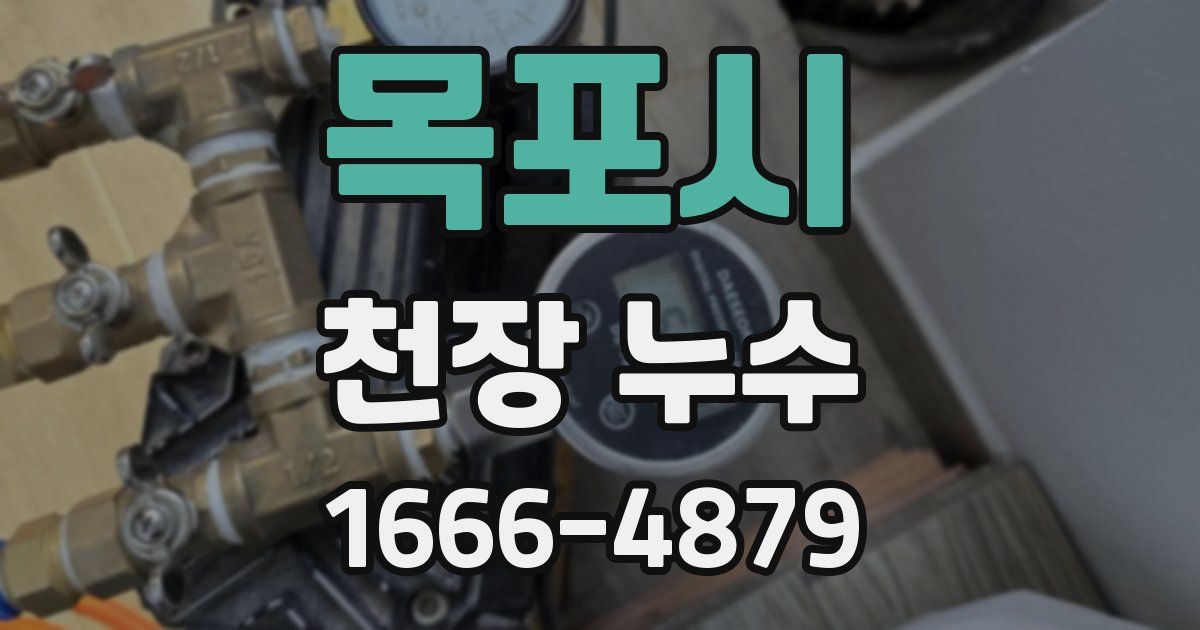 목포시 천장 누수