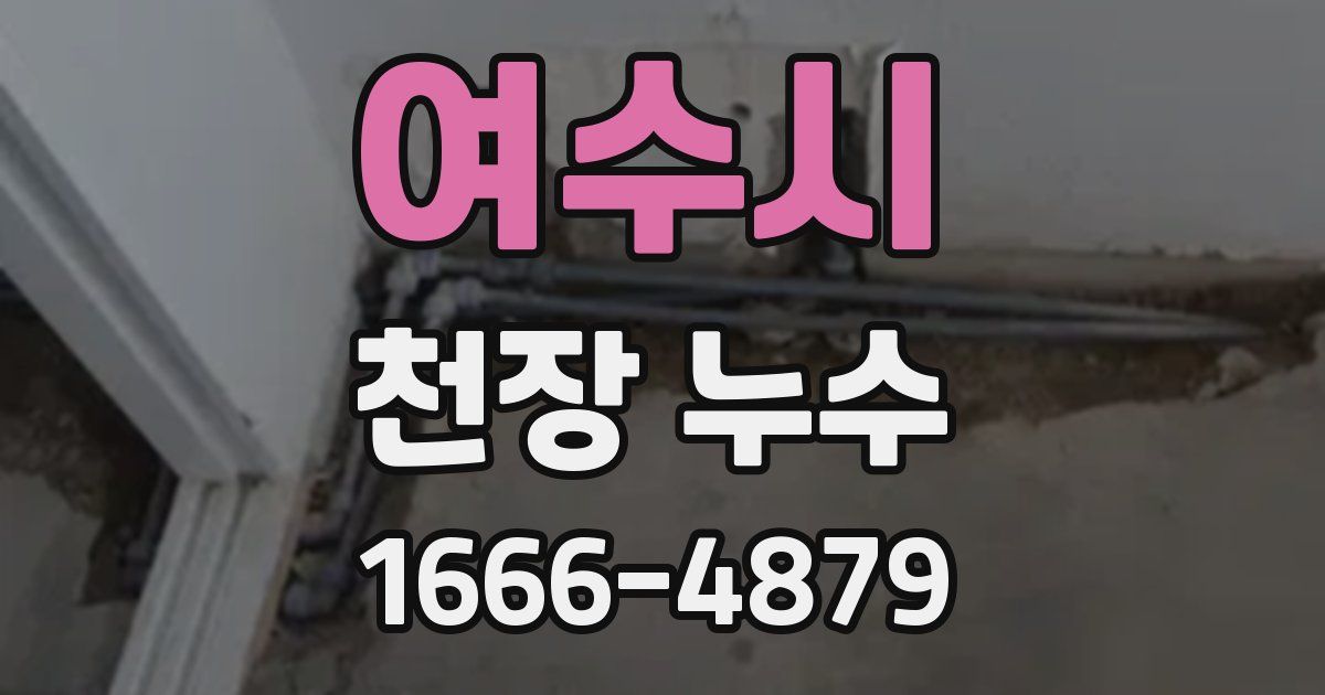여수시 천장 누수