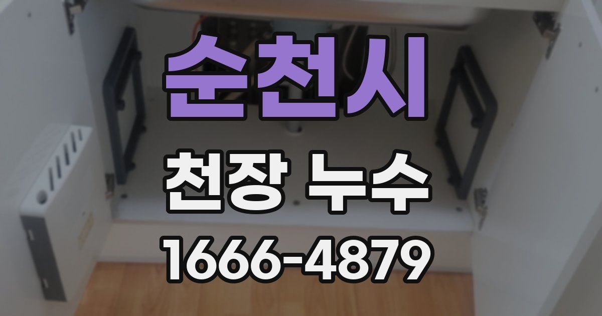 순천시 천장 누수