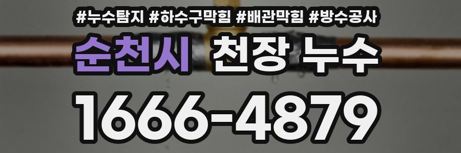 순천시 천장 누수