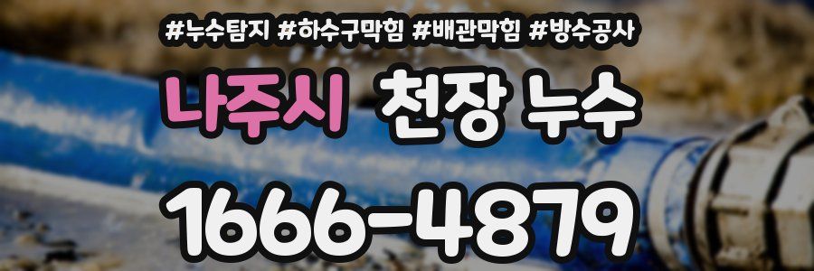 나주시 천장 누수