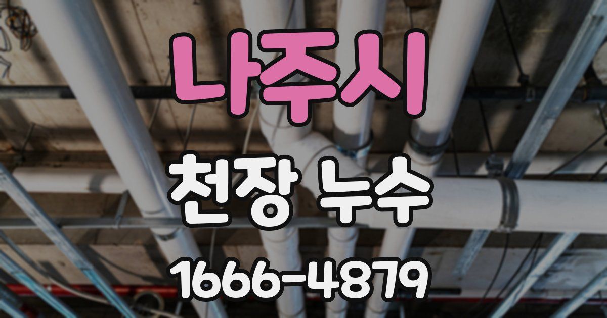 나주시 천장 누수