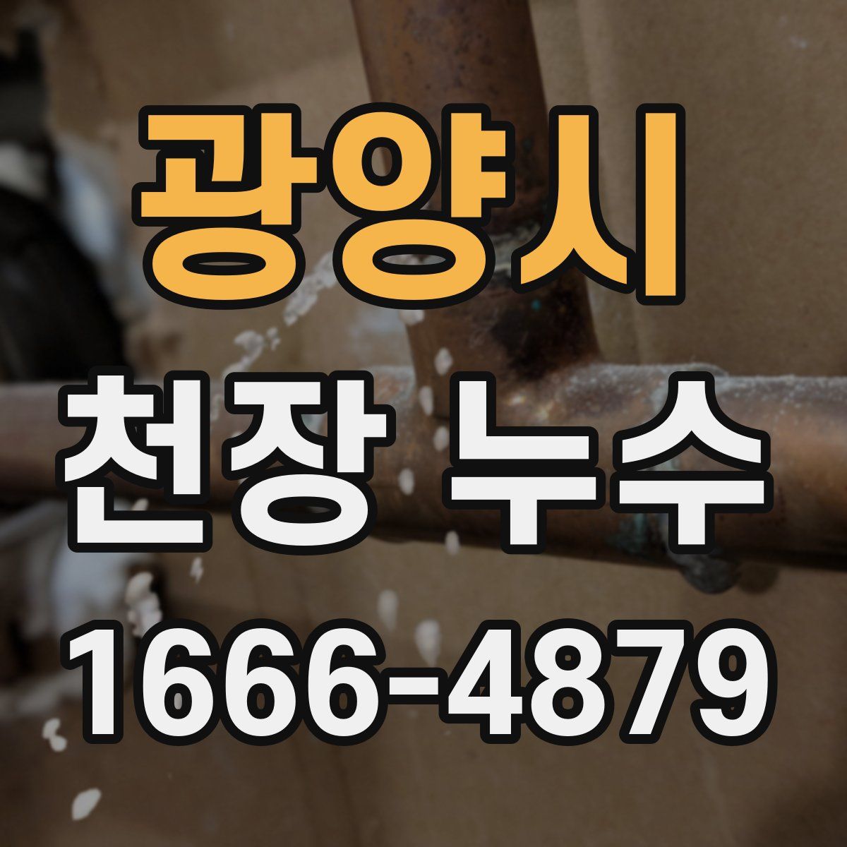 광양시 천장 누수