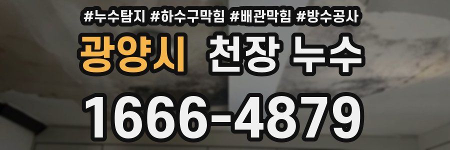 광양시 천장 누수