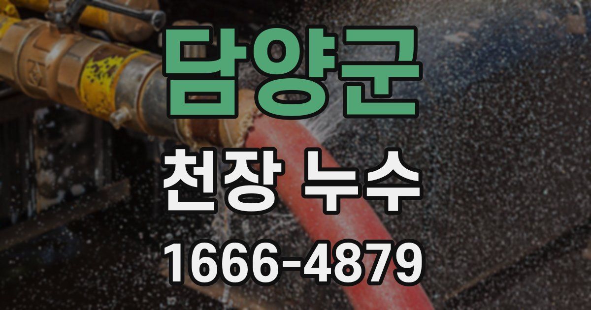 담양군 천장 누수