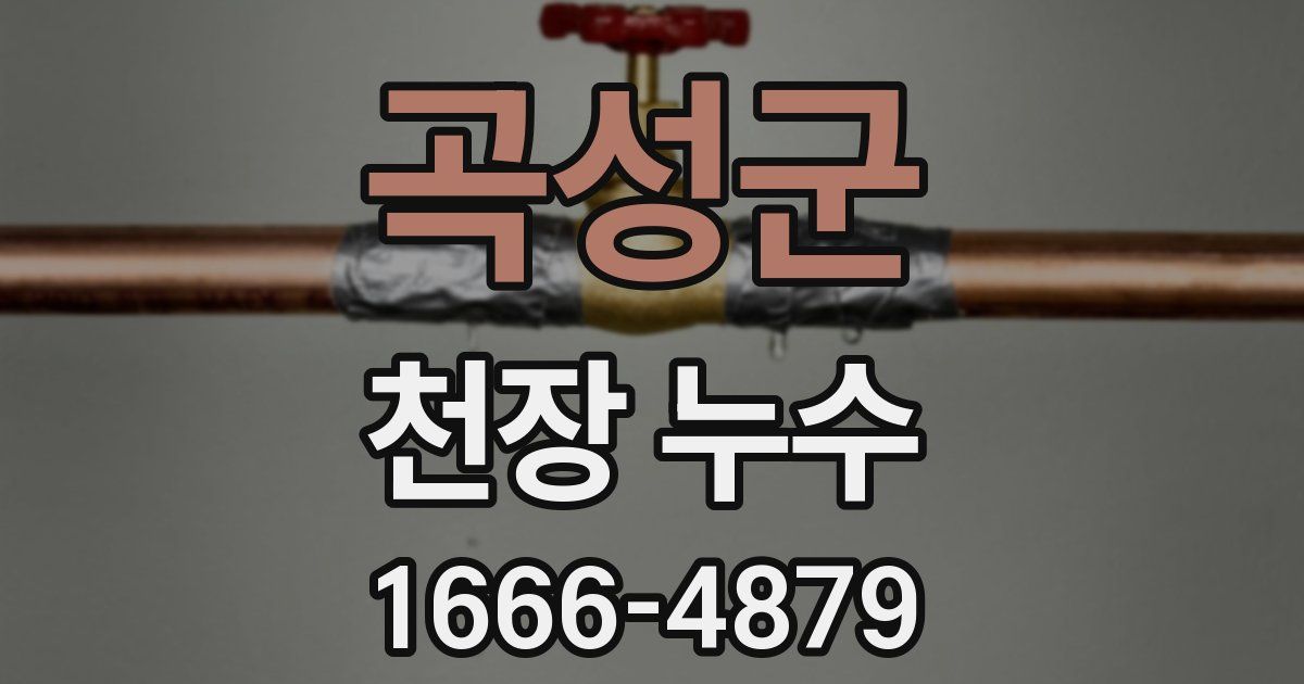 곡성군 천장 누수