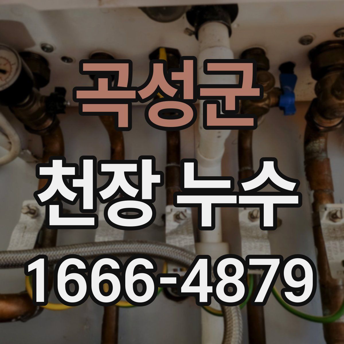 곡성군 천장 누수