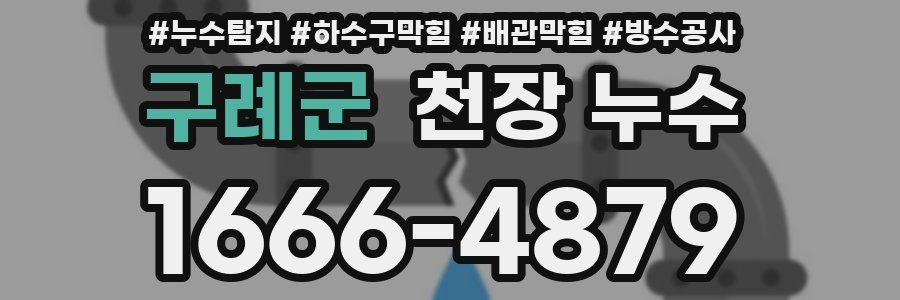 구례군 천장 누수