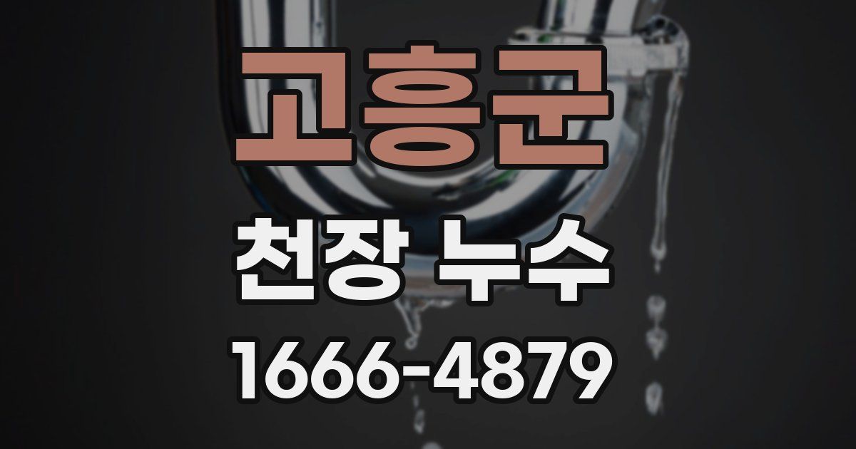 고흥군 천장 누수