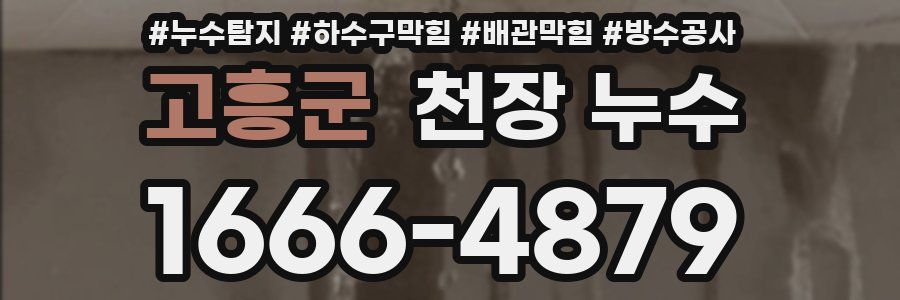 고흥군 천장 누수